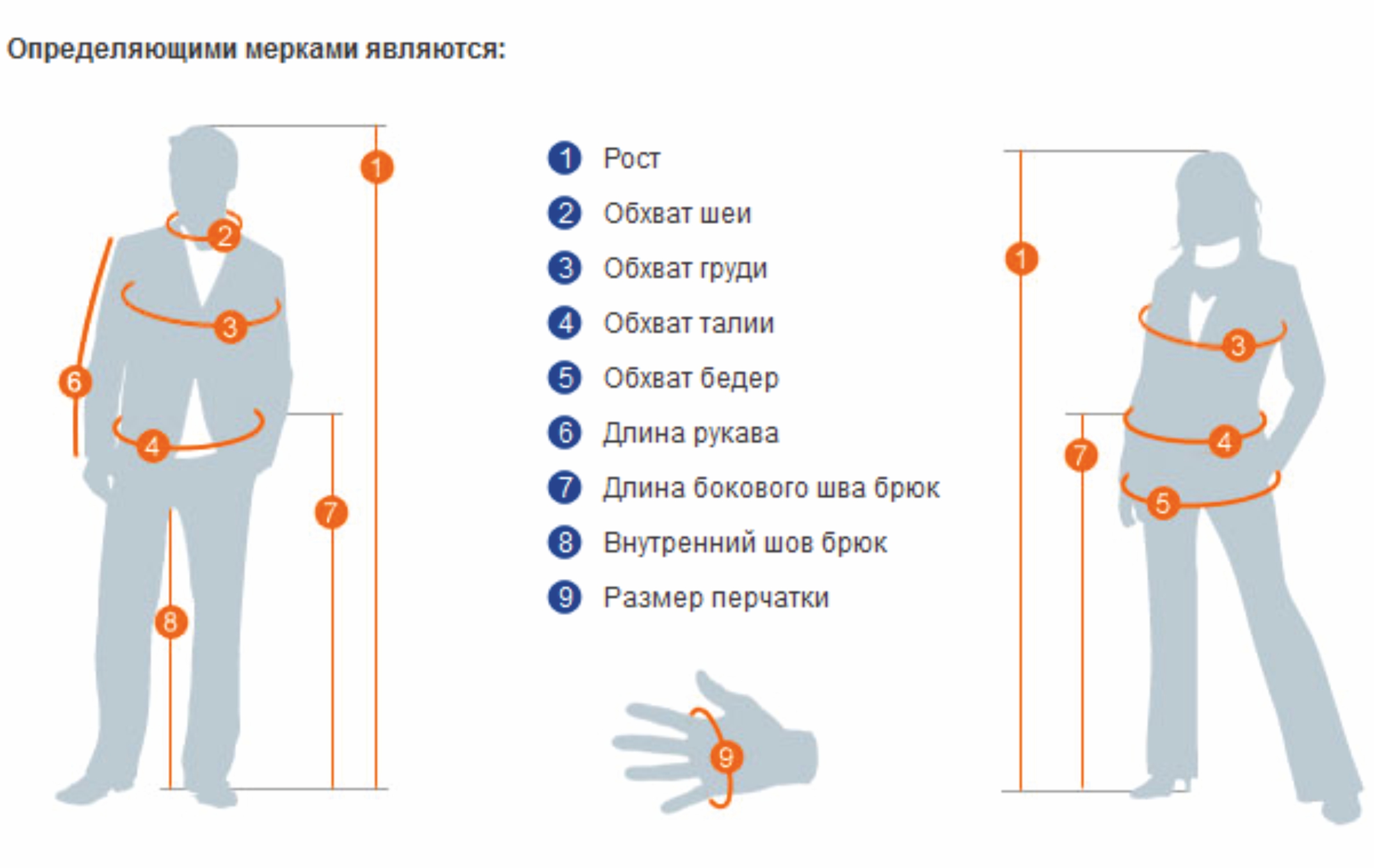 Как Понять Рост Человека По Фото